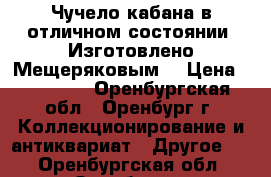 Чучело кабана в отличном состоянии. Изготовлено Мещеряковым. › Цена ­ 15 000 - Оренбургская обл., Оренбург г. Коллекционирование и антиквариат » Другое   . Оренбургская обл.,Оренбург г.
